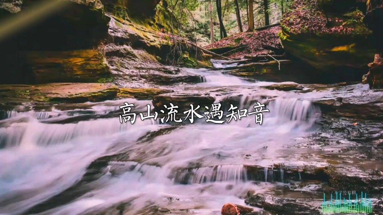 再读卡夫卡的《乡村医生》:专制社会中,个体的孤独、渺小和无力